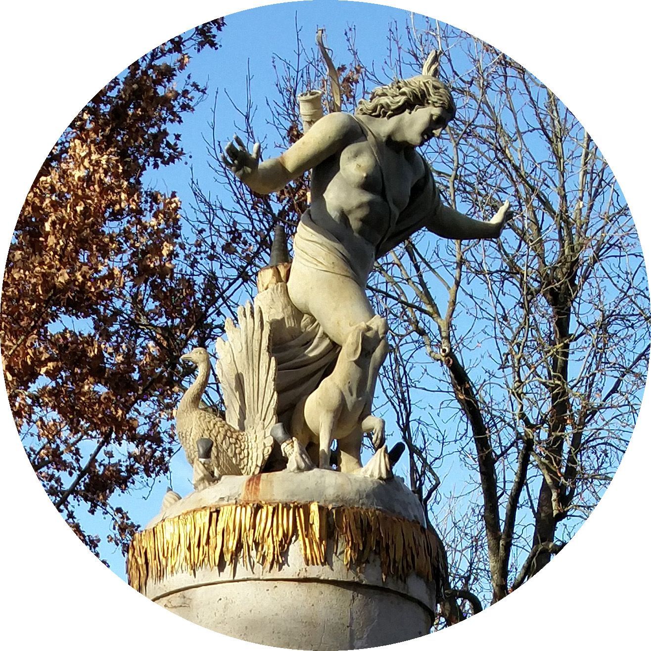 Narciso llora