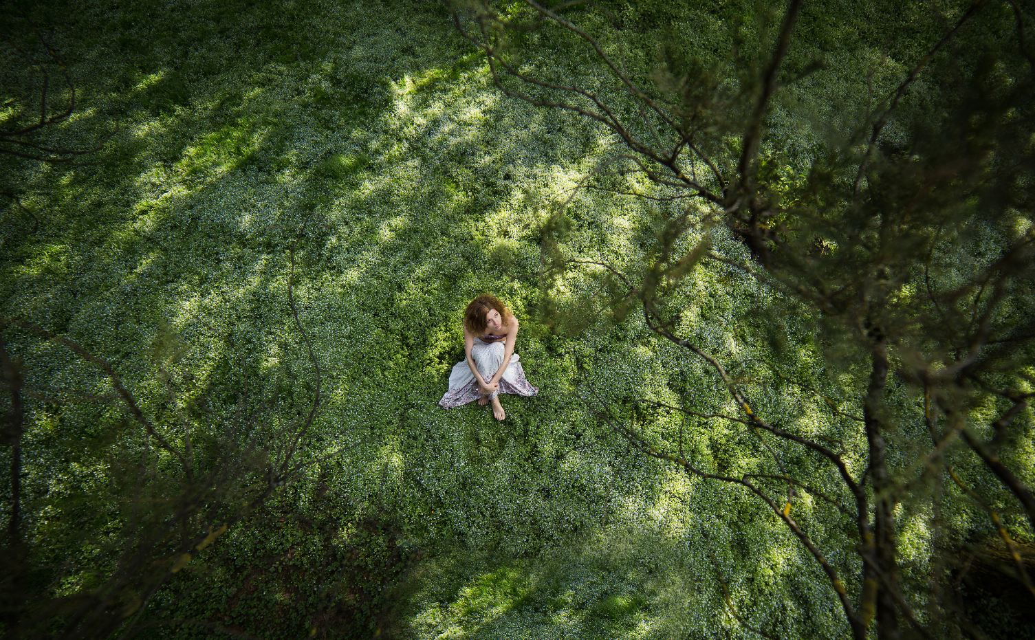 El regalo de la libertad